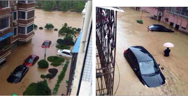 強い台風23号が7日未明、中国福建省に上陸しました。 寧波への被害は大きく、畳表工場の80％が20～80cm程度浸水する という甚大な被害を受けています。